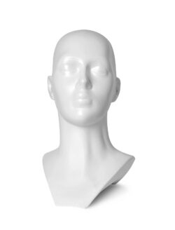 Presentatie hoofd HU-W