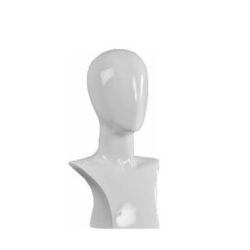 Presentatie hoofd FDH-WHG