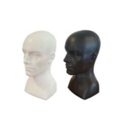 Presentatie hoofden PH-M-ZW