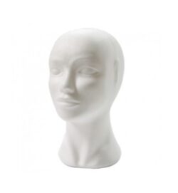 Presentatie hoofd PH-F-S