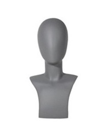 Presentatie hoofd FDH-MGR