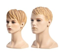 Presentatie hoofden PH-MA-S