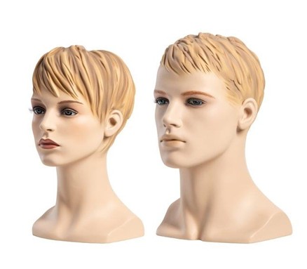 Presentatie hoofden PH-MA-S